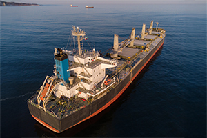 image of the gallery